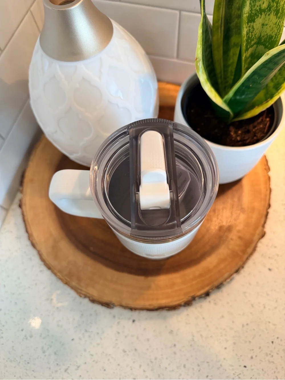 NEW Frost Fade Stanley Quencher ProTour Flip Straw Tumbler 20 OZ